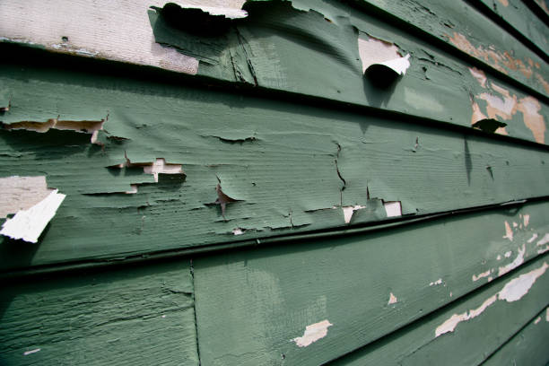 Best Residential Junk Removal  in Knightstown, IN