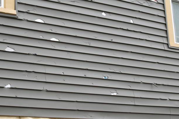 Best Recycling Services for Junk  in Knightstown, IN
